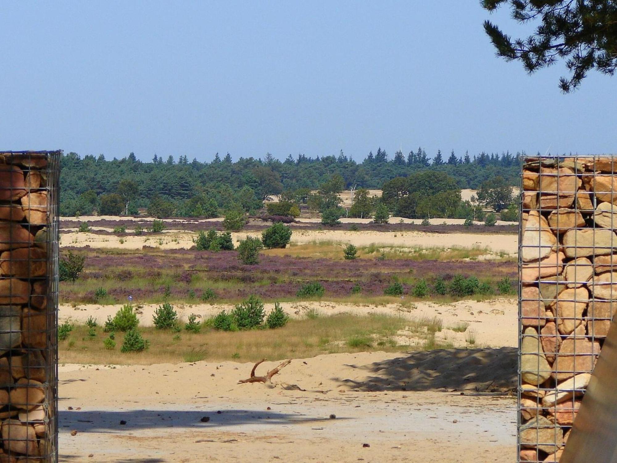 Chalet Near The Loonse And Drunense Duinen Udenhout エクステリア 写真
