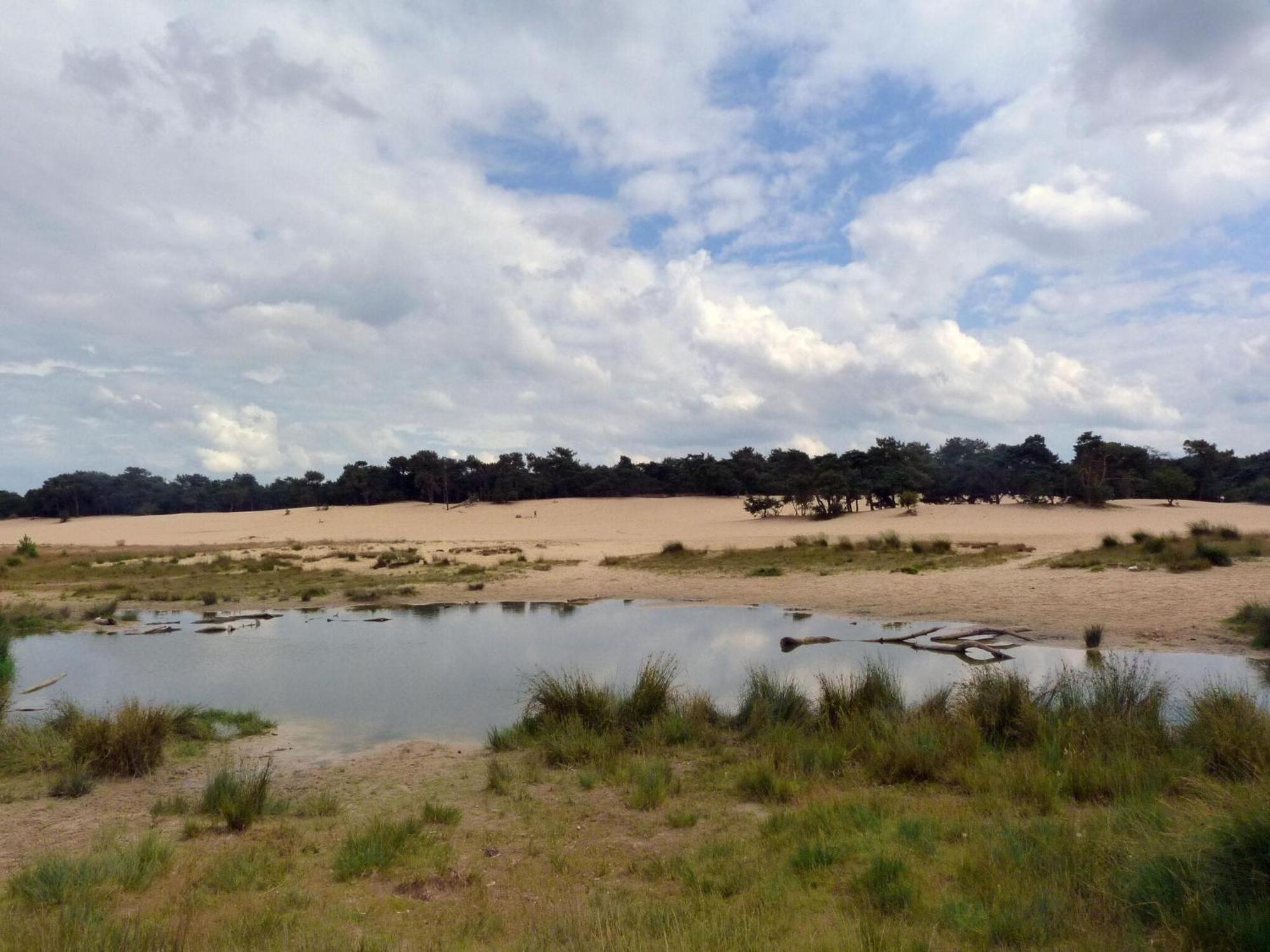 Chalet Near The Loonse And Drunense Duinen Udenhout エクステリア 写真